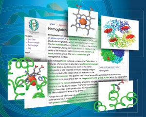 Proteopedia Hemoglobin Entry